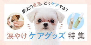 涙やけケアグッズ特集