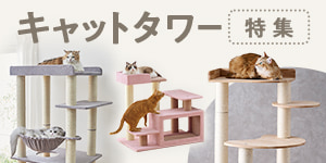 タイプや高さで選べる！キャットタワー特集