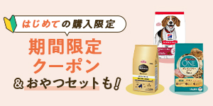 対象フード初回送料無料＆おやつもプレゼント
