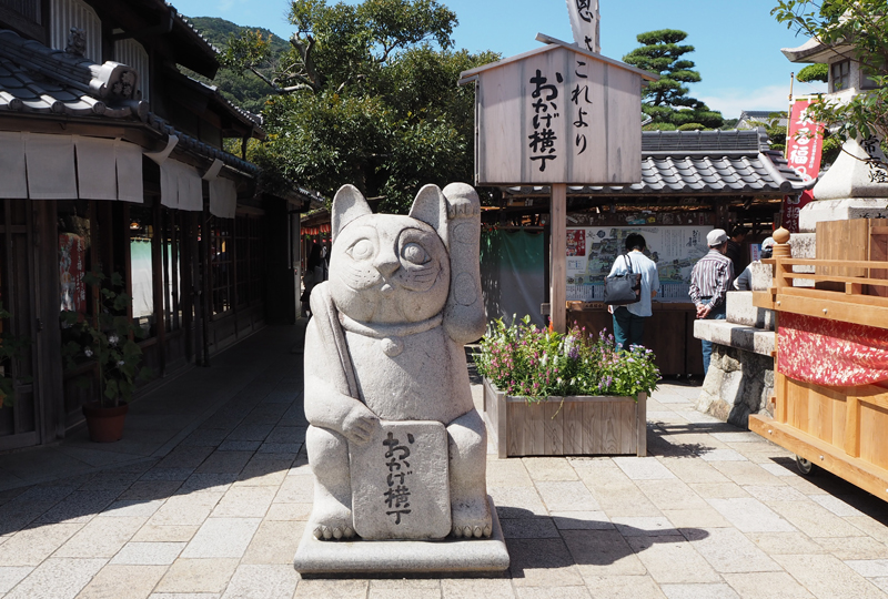 伊勢 おかげ横丁の 来る福招き猫まつり に行ってきました ペット用品の通販サイト ペピイ Peppy