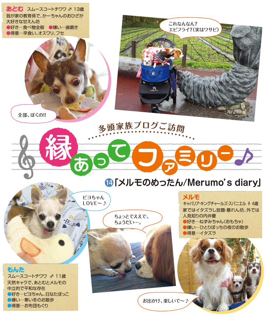 メルモのめったん Merumo's diary - ペット用品の通販サイト ペピイ