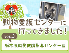 栃木県動物愛護指導センター編 ペット用品の通販サイト ペピイ Peppy