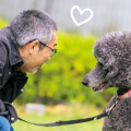 【第1回】愛犬は、あなたの心身を守る素敵な伴侶です。