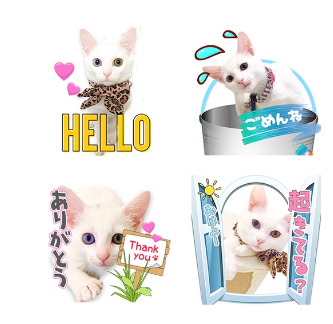 リターボックス｜ 猫用トイレ｜ ペット用品の通販サイト ペピイ（PEPPY）
