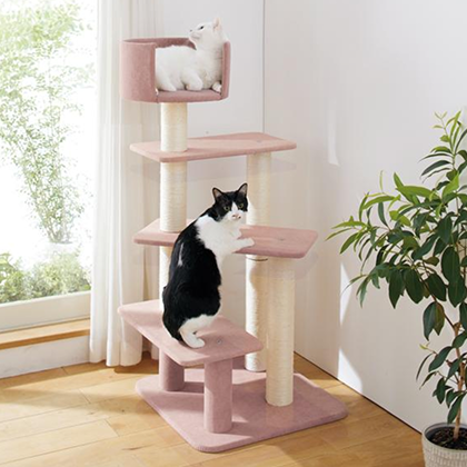 のぼりやすいらせんステップタワー（高さ119cm 据え置き型 シニア猫