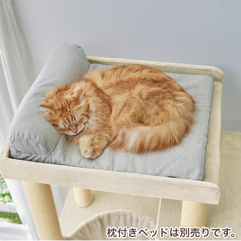 大きな天井ベッドのハイタワー（高さ171cm 据え置き型 多頭飼い 大型猫