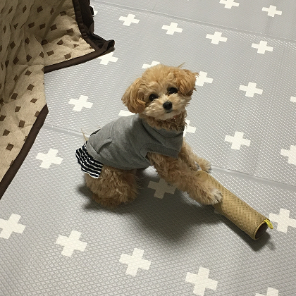 衝撃吸収＆防水クッションマット（旧：汚れがふき取りやすい防水