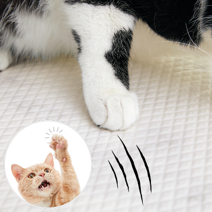 衝撃吸収＆防水クッションマット 厚型（旧：猫用）｜ ペット用品の通販