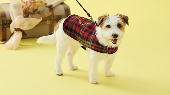 PEPPY LIFE】着せるのらくちんウェア（マントタイプ）｜ ペット用品の