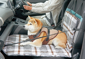 座ったまま景色が見えるドライブボックス（旧：ソファボックス