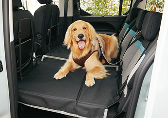 座ったまま景色が見えるドライブボックス（旧：ソファボックス