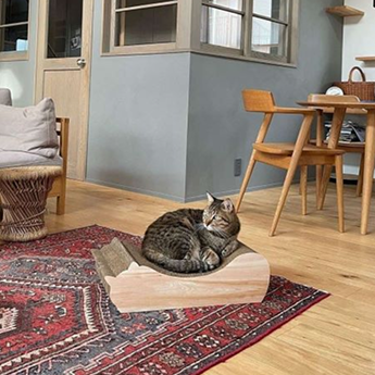 ごろ猫 Amazon.co.jp: ごろねこサミット ぬいぐるみ クッション 第2回 ごろ