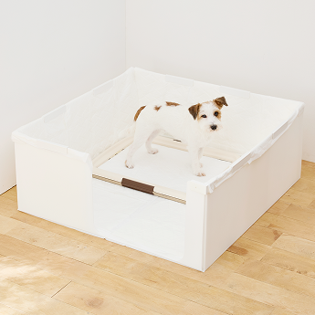 はぴはぴ♡トイルーム 私の仕事中、 ハルがあまりにも退屈そうなので、 こんなものを買ってみ