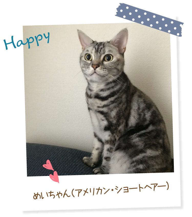 マジカルサンド （紙猫砂）｜ ペット用品の通販サイト ペピイ（PEPPY）