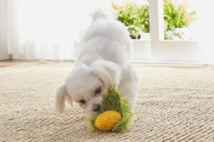 オーマロー｜ 犬用おもちゃ｜ ペット用品の通販サイト ペピイ（PEPPY）