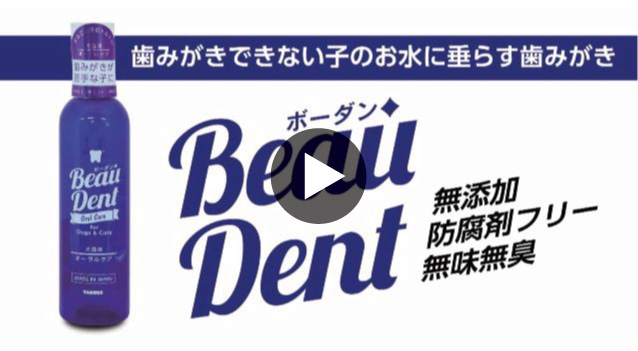 トーラス ボーダン ジェル 30mL×3本セット まとめ買い 犬猫用 歯磨き