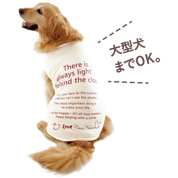 メッセージ適温Ｔシャツは小型犬～大型犬用まで着用可能。