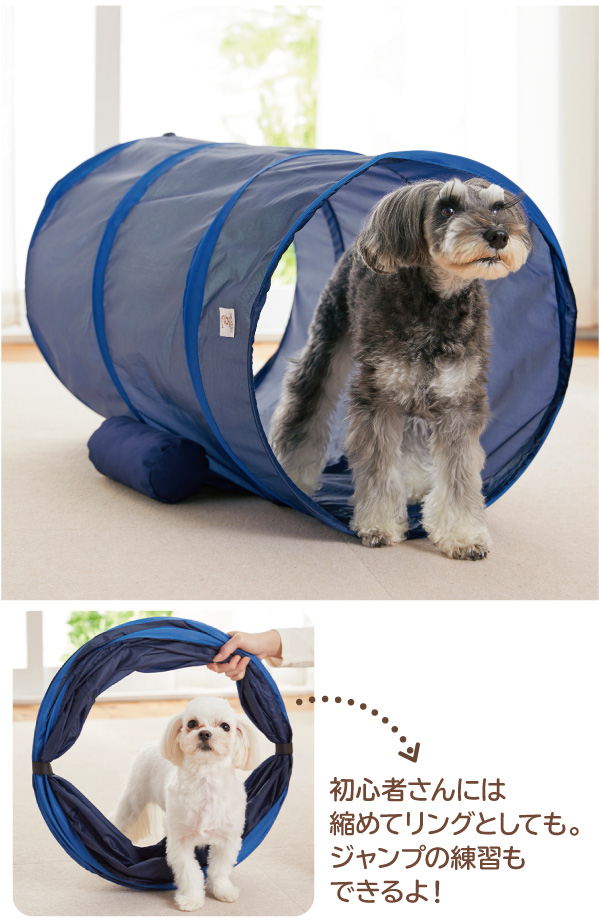 Sippoleアジリティ｜ 犬用おもちゃ｜ ペット用品の通販