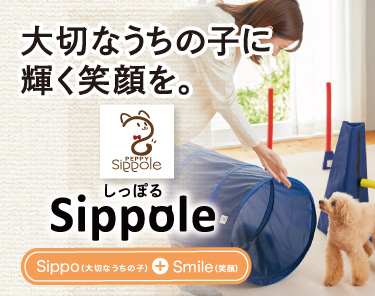 Sippoleアジリティ｜ 犬用おもちゃ｜ ペット用品の通販