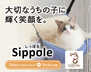 むぎねこさん専用　 mpop pop10 wht jp A006　5台特別セット Sippole もちふわハンモック｜ ペット用品の通販サイト ペピイ