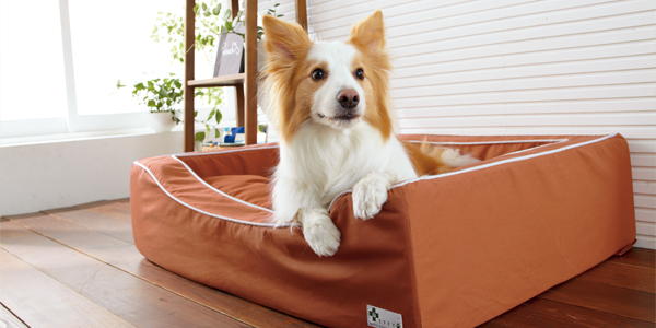 スクエアカドラー＋クッション・コットン｜ ペット用品の通販サイト