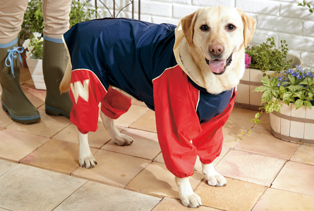 犬レインコート・防寒着　Mr.Mac オレンジ レインコート　定価12000円 犬レインコート・防寒着 Mr.Mac オレンジ レインコート 定