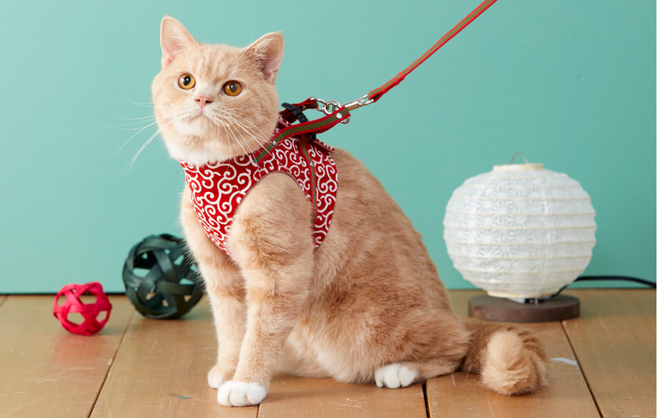 ハンドルベスト (猫用ハーネス)｜ ペット用品の通販サイト
