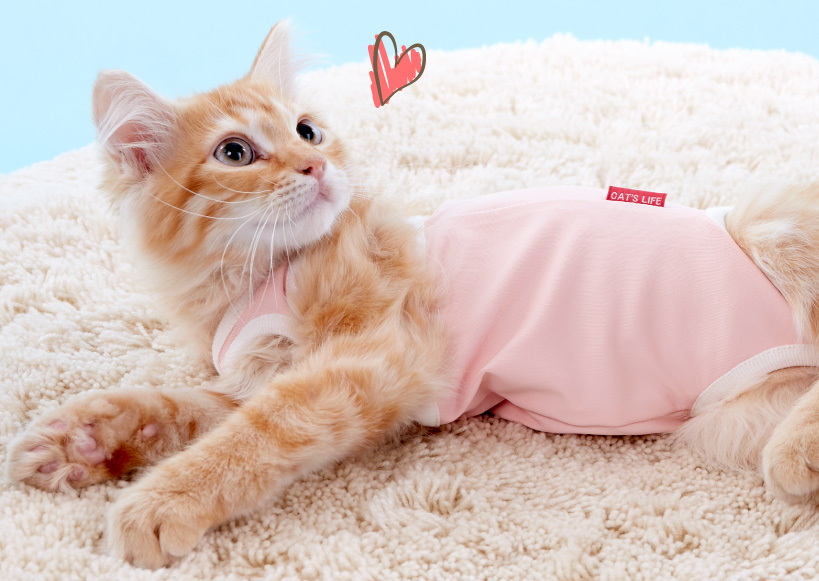 ガードスーツ｜ ペット用品の通販サイト ペピイ（PEPPY）