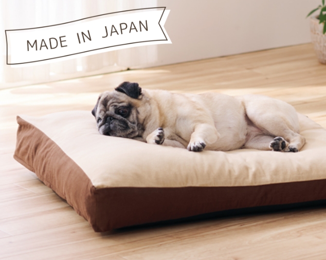 ペピィ もっちりローカウチ/犬猫用ベッド PEPPY もっちりローカウチ 本体 犬ベッド 猫ベッド ふかふか 高