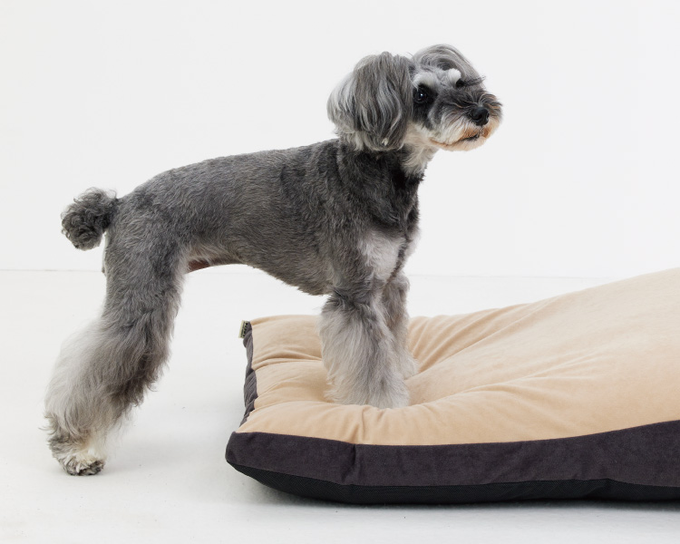 お値下げ】 ペピイ ベッド もっちりカウチ 本体+夏用パッド 犬用