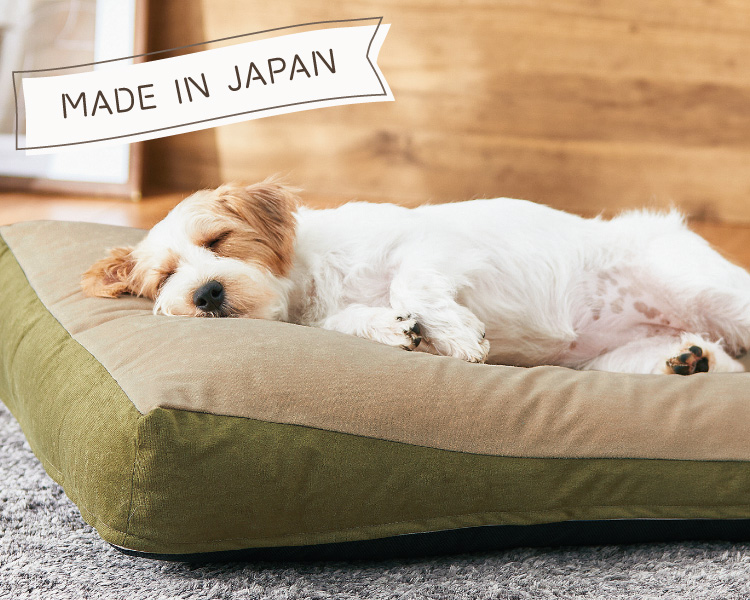もっちりローカウチ 秋冬用｜ ペット用品の通販サイト ペピイ