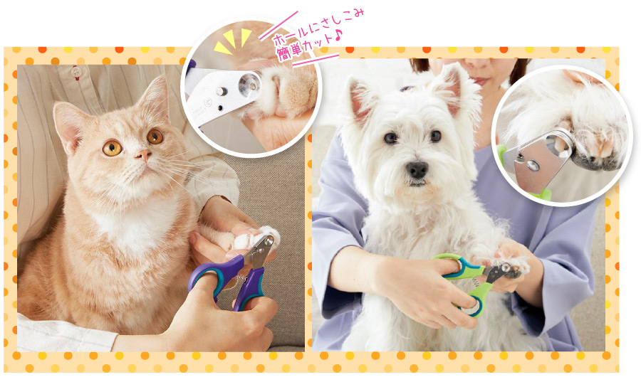 早い者勝ち❣️ペットケア3点セット ワンプッシュでごっそり ブラシ 爪切り ニューハニースマイル：やさしいふれあい時間のお手入れグッズ