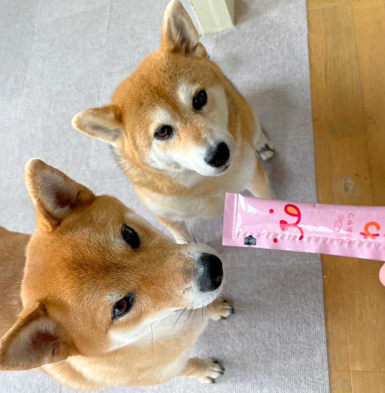 PEPPY LIFE わんみぃ（無添加 国産）｜ ペット用品の通販