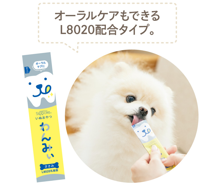 みにーみー　犬の無添加おやつ PETKISS ワンちゃんの歯みがきおやつ 無添加ササミチップス