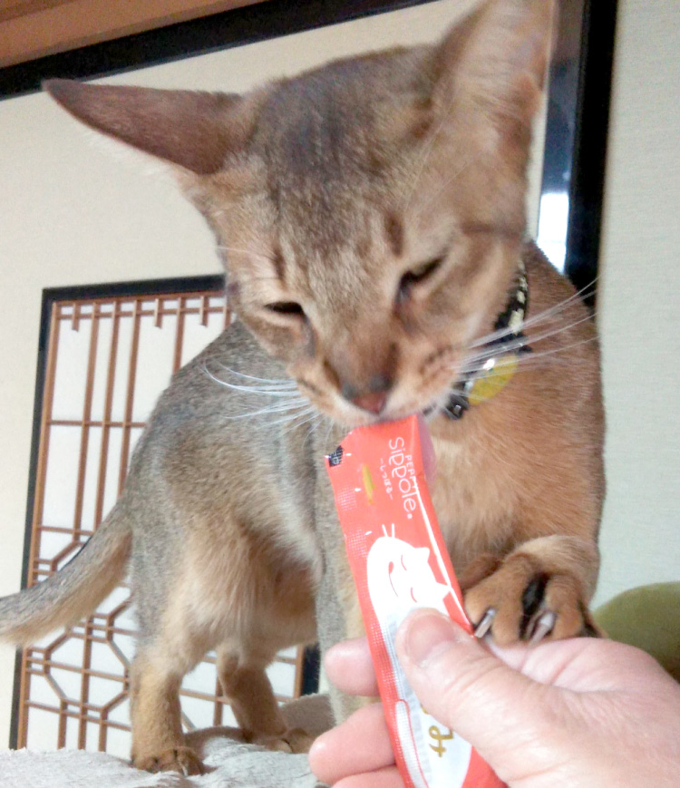 Sippole プレミアム にゃろみ｜ 猫用おやつ｜ ペット用品