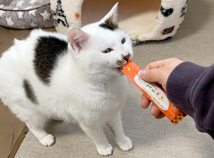 Sippole プレミアム にゃろみ｜ 猫用おやつ｜ ペット用品