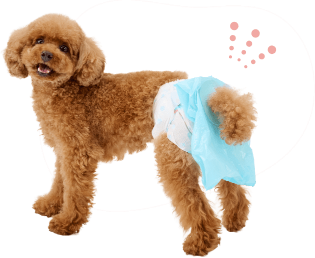 未使用  pipiDogs ワンちゃん用サニタリーパンツ4号　確認用です うんこパンツ｜ ペット用品の通販サイト ペピイ（PEPPY）