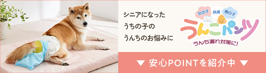 うんこパンツ｜ ペット用品の通販サイト ペピイ（PEPPY）