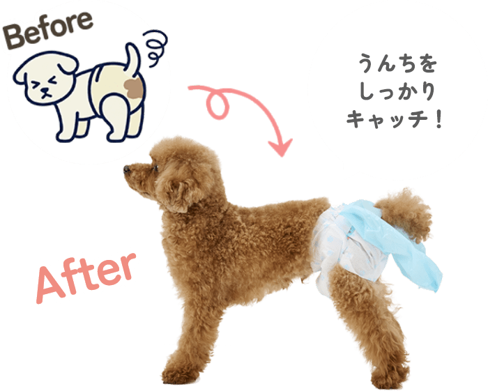 Beofre After うんちをしっかりキャッチ！
