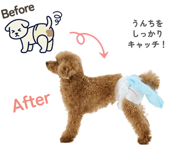 未使用  pipiDogs ワンちゃん用サニタリーパンツ4号　確認用です うんこパンツ｜ ペット用品の通販サイト ペピイ（PEPPY）