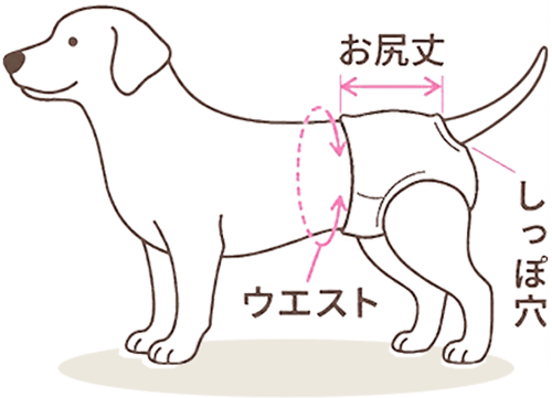 うんこパンツ｜ ペット用品の通販サイト ペピイ（PEPPY）