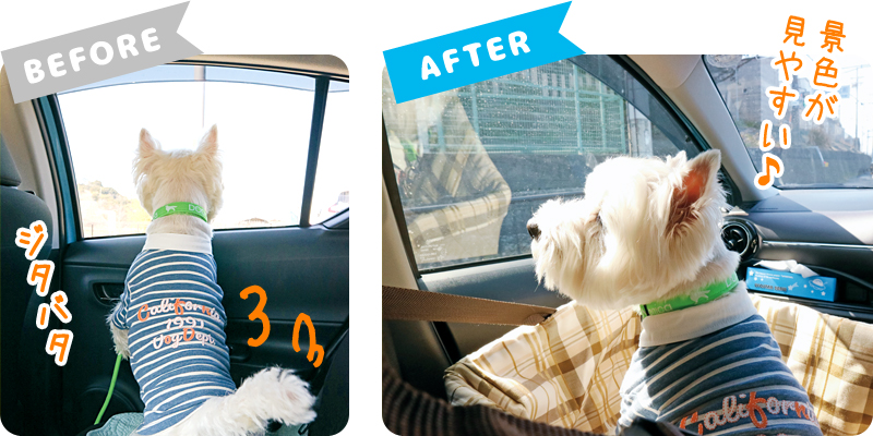 爽快ビュードライブボックス ペットドライブボックス カーボックス ペット用品の通販サイト ペピイ Peppy