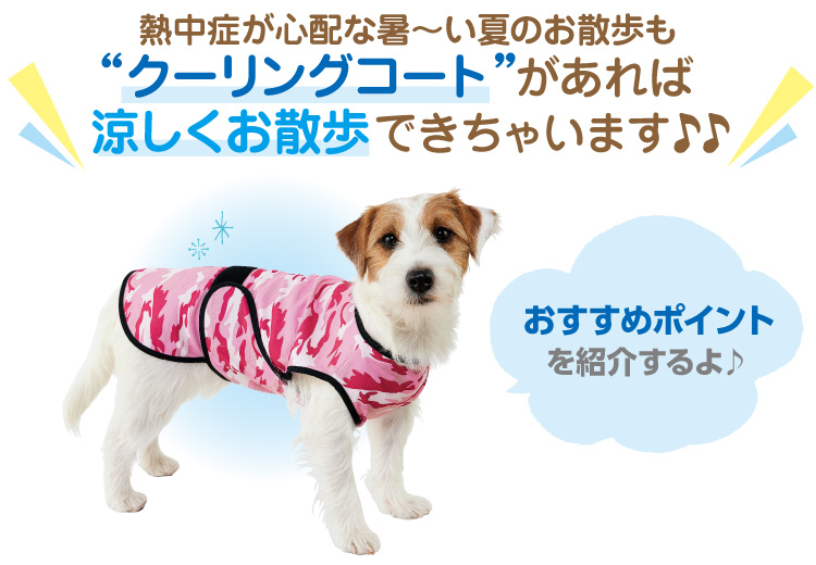 市場 犬用冷感ベスト フレンチブルドッググッズ 柴犬 程よいひんやり感 クールコート ｔシャツ 春夏 犬服 クール 涼しい