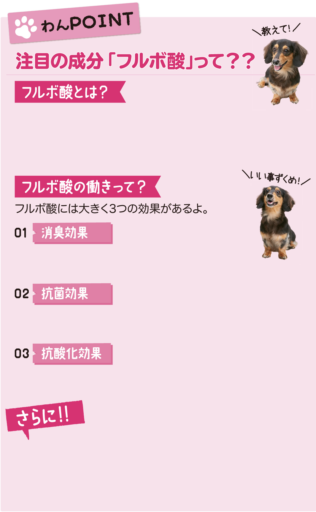 ランドリーきらら ペット専用洗濯洗剤 掃除用品 除菌 消臭剤 ペット用品の通販サイト ペピイ Peppy