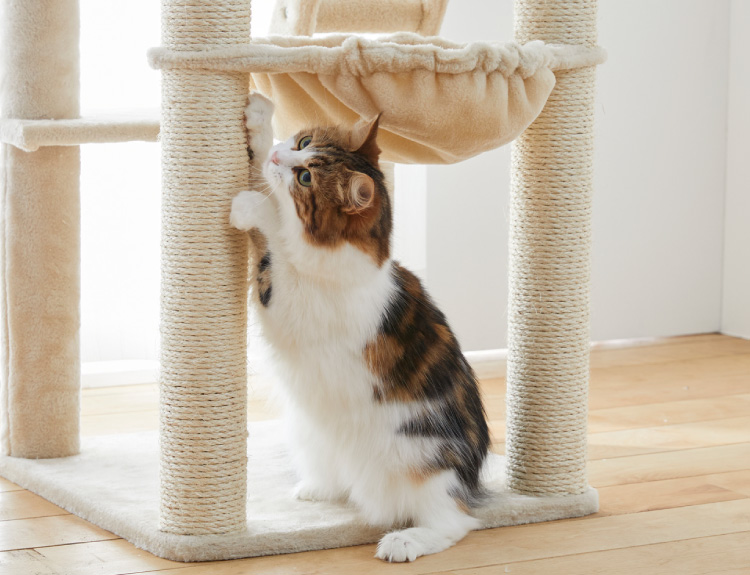 どこでもスリムキャットタワー（高さ147cm 据え置き型 スリム ハウス 