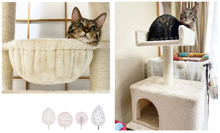 キャットタワー 多頭飼いハンモック スリム 省スペース 据え置き 高さ168cm FEANDREA キャットタワー 大型猫用 人気 多頭飼い ハンモック