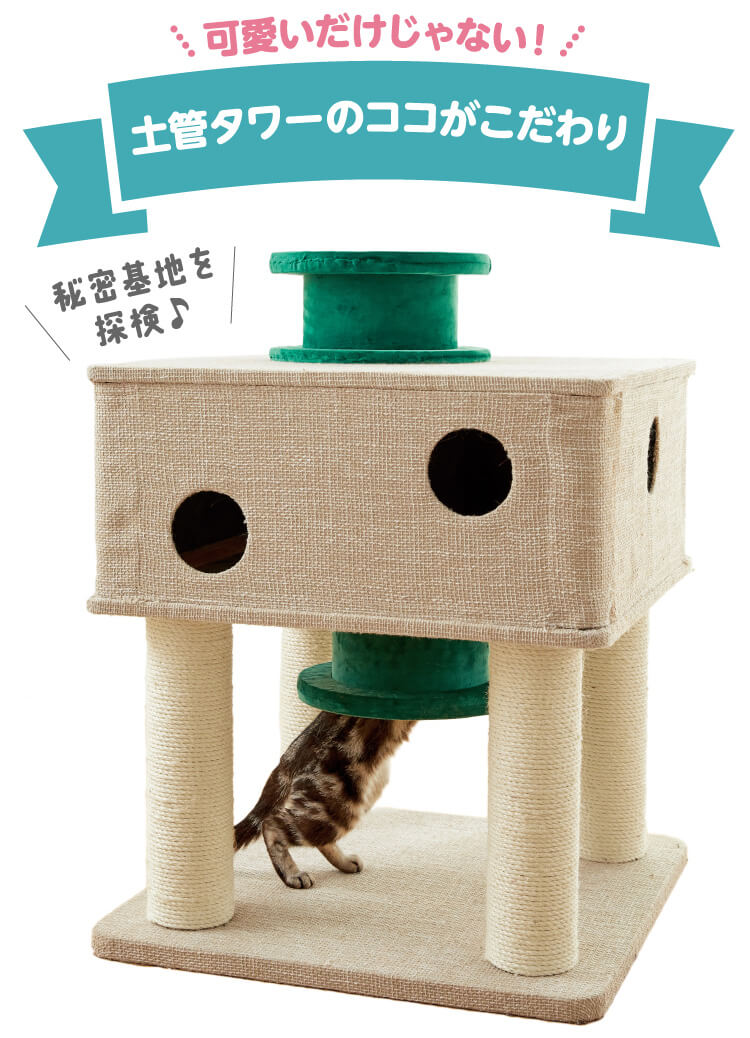 猫さん専用 Amazon | マルカン アクアサーバー 猫用 CT-350 | マルカン