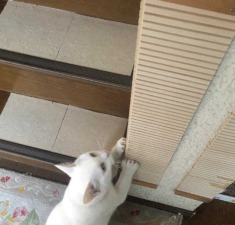 壁に貼れる爪とぎボード （猫 壁 保護）｜ ペット用品の通販サイト