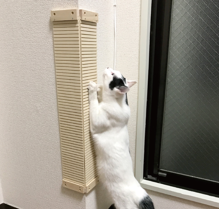 壁に貼れる爪とぎボード （猫 壁 保護）｜ ペット用品の通販サイト