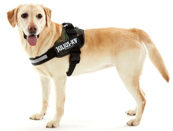 ユリウスK9 IDCパワーハーネス｜ 犬用ハーネス｜ ペット